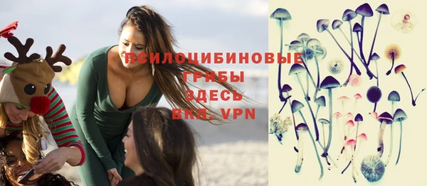 винт Армянск
