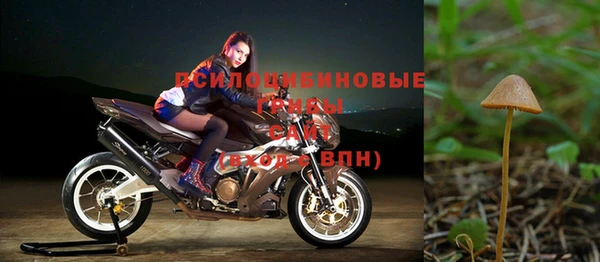 винт Армянск