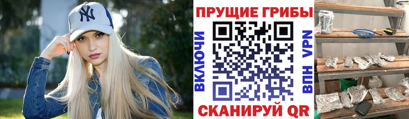 Псилоцибиновые грибы ЛСД  Отрадный 
